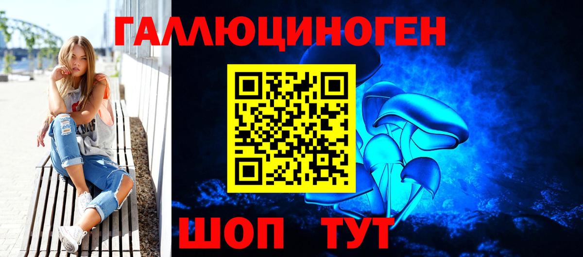 Галлюциногенные грибы Psilocybe Архангельск